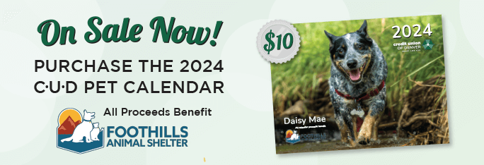 On Sale Now! Purchase the 2024 CUD Pet Calendar. All proceeds benefits Foothills Animal Shelter.