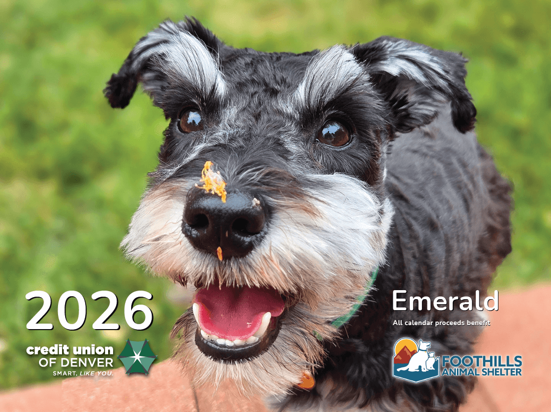 Emerald on the 2026 Pet Calendar cover