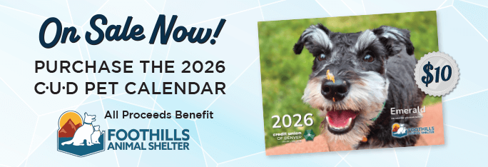 On Sale Now! Purchase the 2026 CUD Pet Calendar. All proceeds benefit Foothills Animal Shelter.