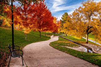 Denver city park in the fall