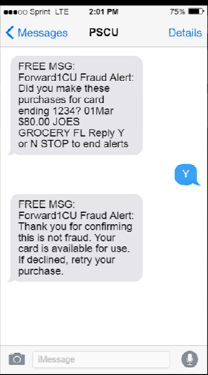 Fraud Phone alert