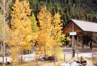 Georgetown loop railroad ni the fall