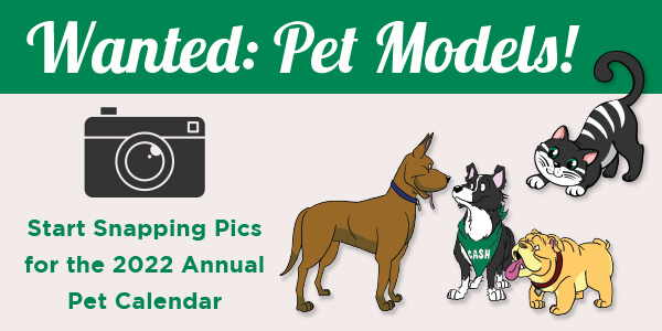 Wanted: Pet Models! Start snapping pics for the 2022 Annual Pet Calendar. Dogs and a cat shown.