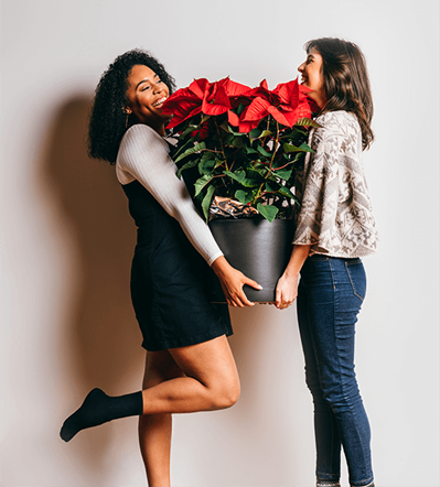 Two women holding a large Poinsettia plant.