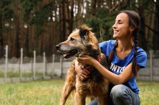 Animal Shelter Volunteer with dog