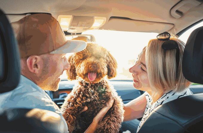 Couple with dog in car