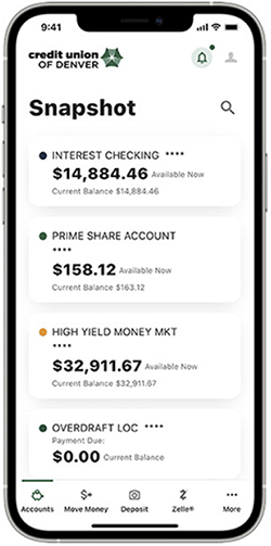 Example snapshot of digital banking on mobile phone