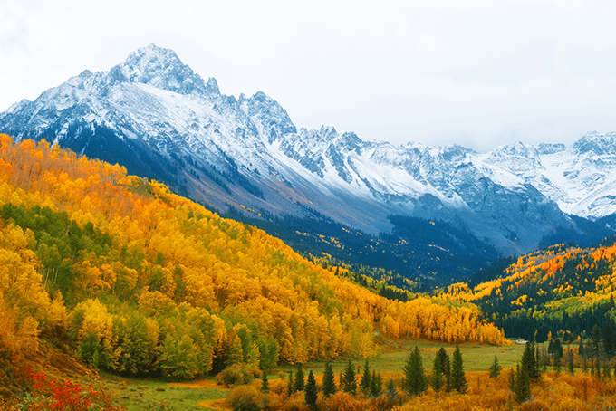 Pumpkin, Spice, and Everything Nice: Your Ultimate Guide to Fall in Colorado 
