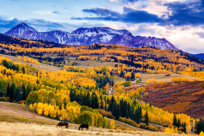 Pumpkin, Spice, and Everything Nice: Your Ultimate Guide to Fall in Colorado 